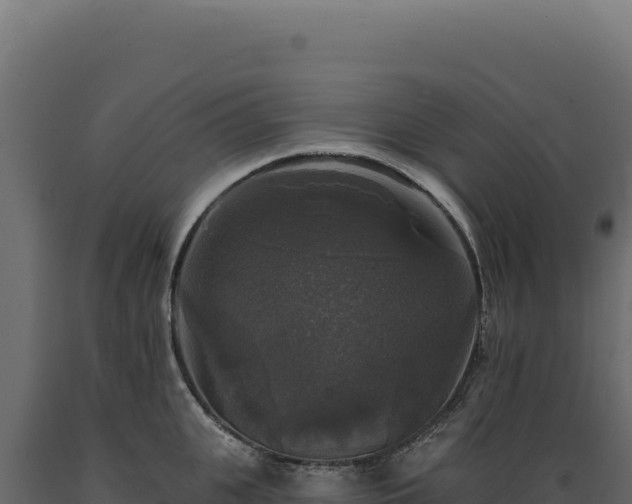 X0000089960951200707061137