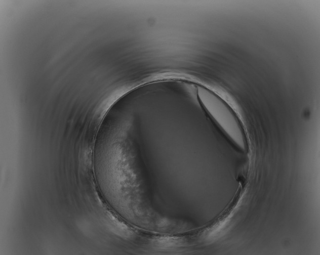 X0000089960953200707061137