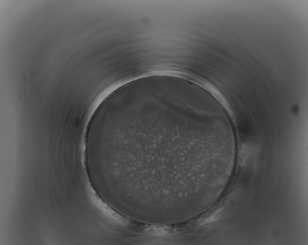 X0000089960955200707061137