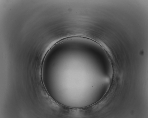 X0000089960956200707061137