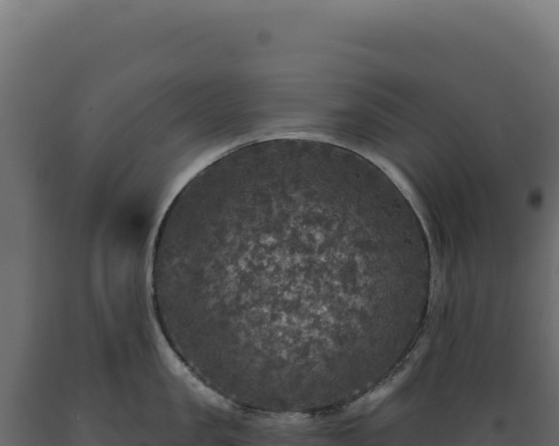 X0000089960957200707061137