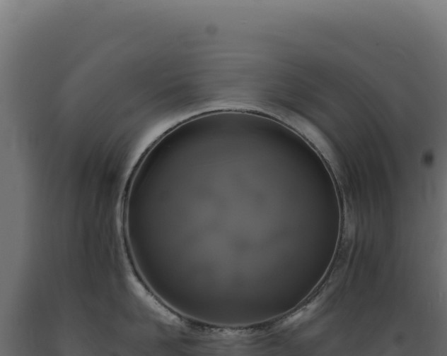 X0000089960958200707061137