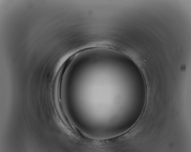 X0000089960960200707061137