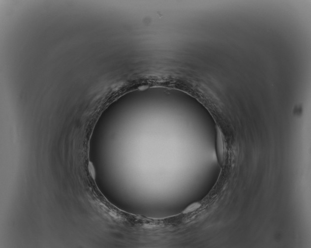 X0000089960961200707061137