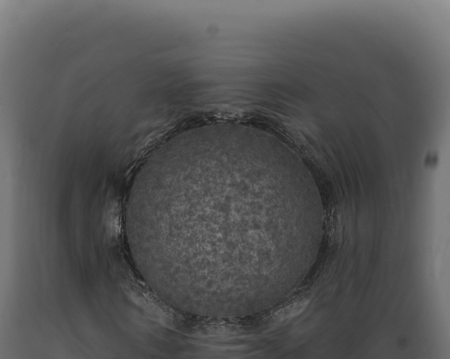 X0000089960962200707061137