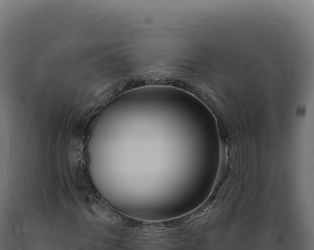 X0000089960964200707061137