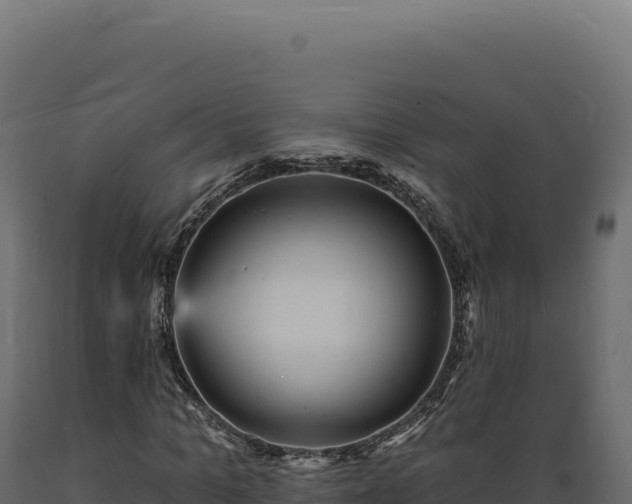X0000089960965200707061137