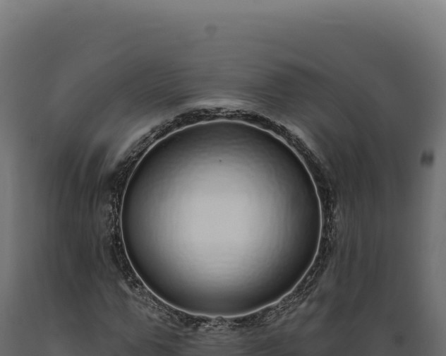 X0000089960967200707061137