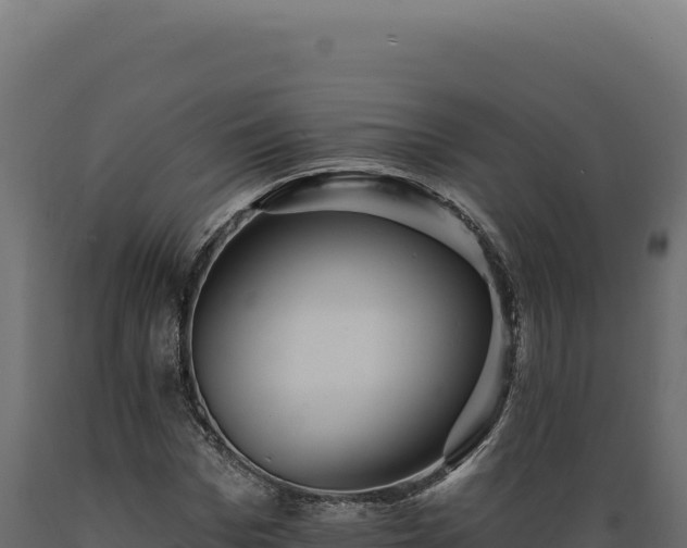 X0000089960969200707061137