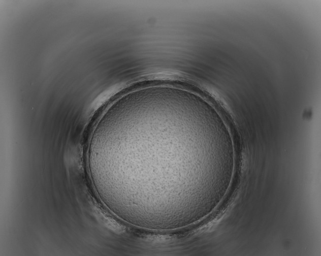 X0000089960970200707061137