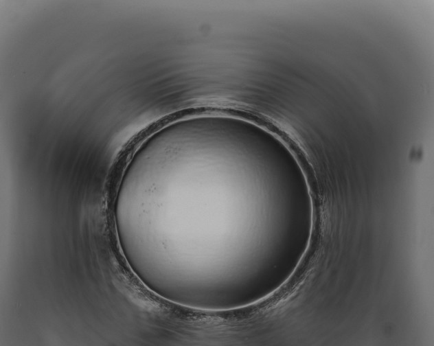 X0000089960971200707061137