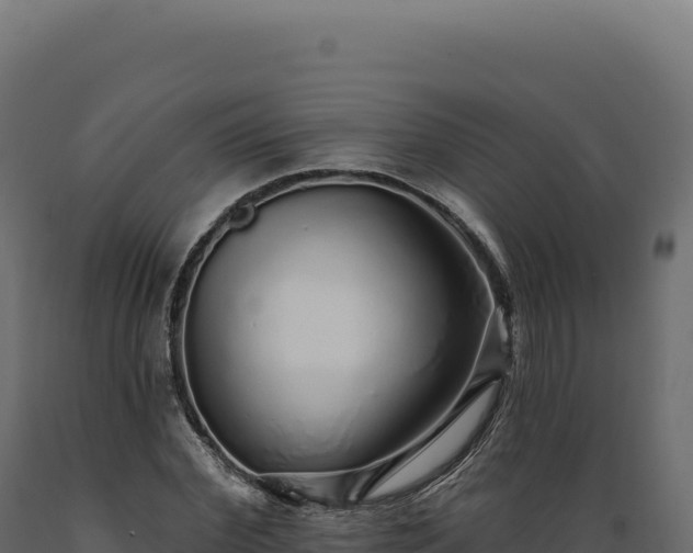 X0000089960972200707061137