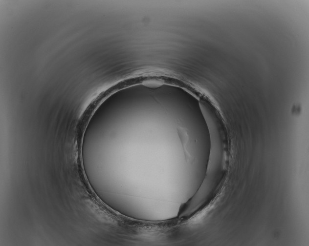 X0000089960973200707061137