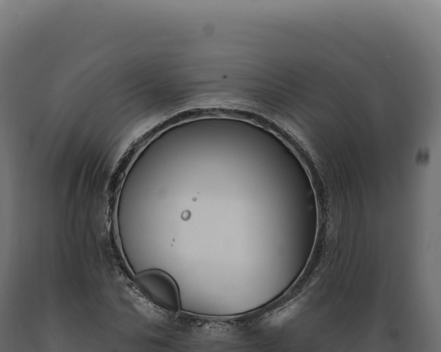 X0000089960974200707061137
