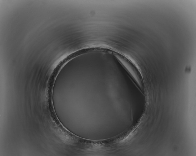 X0000089960975200707061137