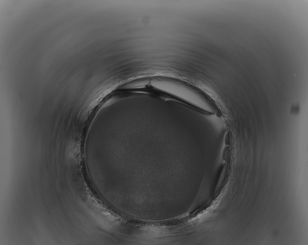 X0000089960977200707061137