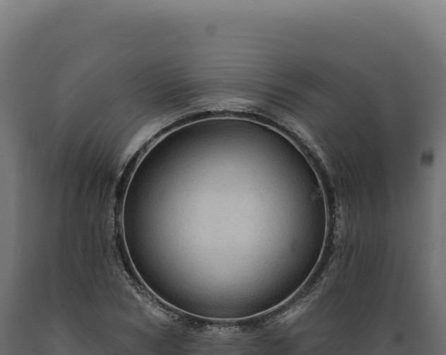 X0000089960978200707061137