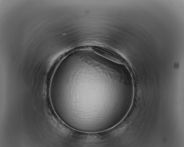 X0000089960979200707061137