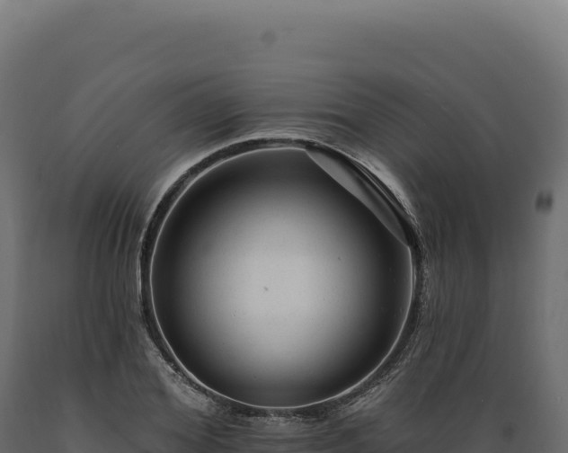 X0000089960980200707061137