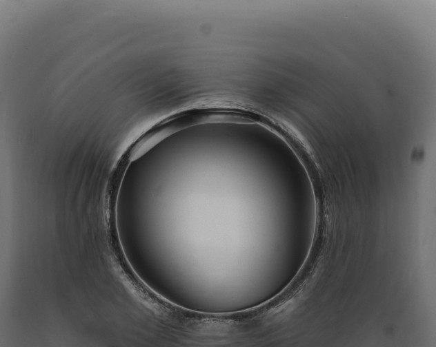 X0000089960981200707061137