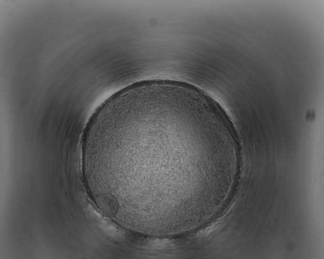 X0000089960982200707061137