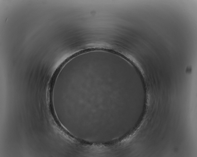 X0000089960983200707061137