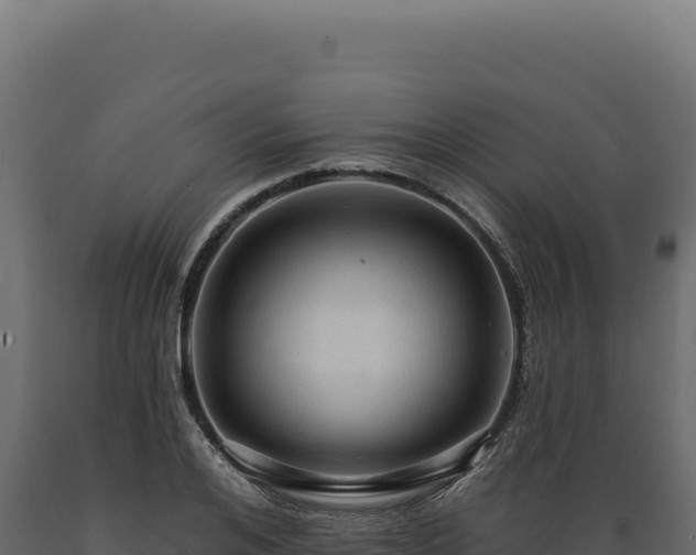 X0000089960984200707061137