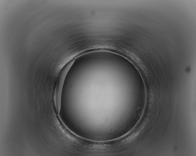X0000089960985200707061137