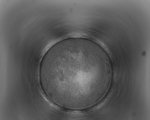 X0000089960986200707061137