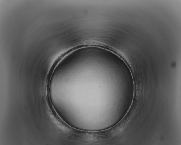 X0000089960987200707061137