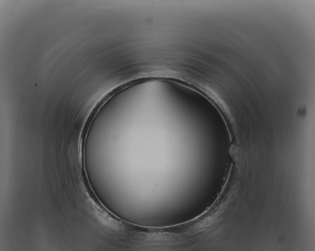 X0000089960988200707061136