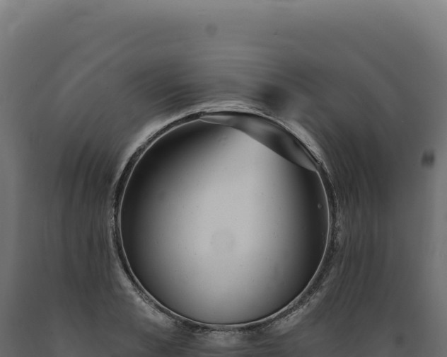 X0000089960989200707061136
