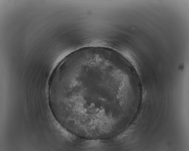X0000089960990200707061136