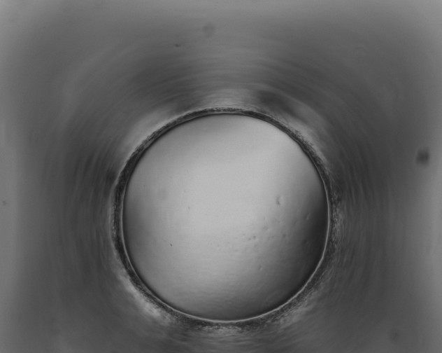 X0000089960991200707061136