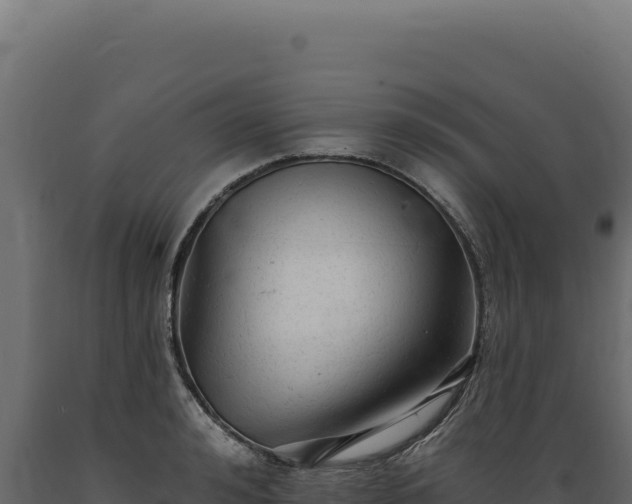 X0000089960992200707061136