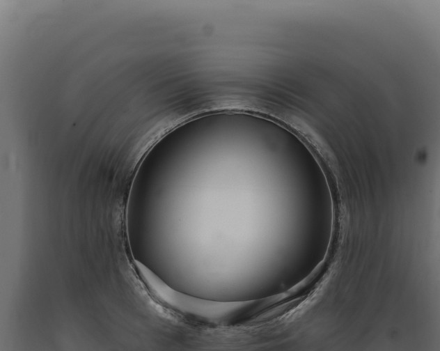 X0000089960993200707061136