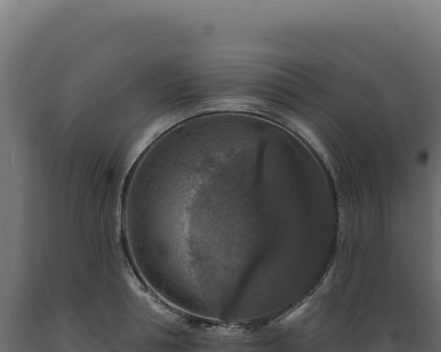 X0000089960994200707061136