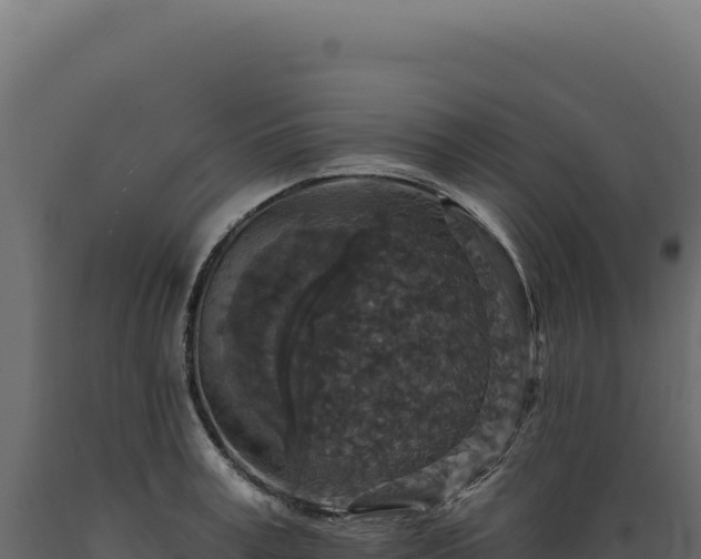 X0000089960995200707061136