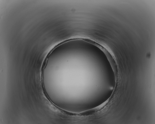 X0000089960996200707061136