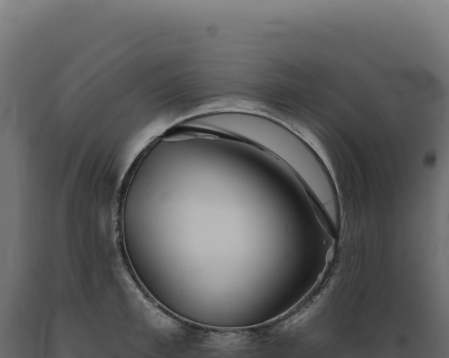 X0000089960997200707061136