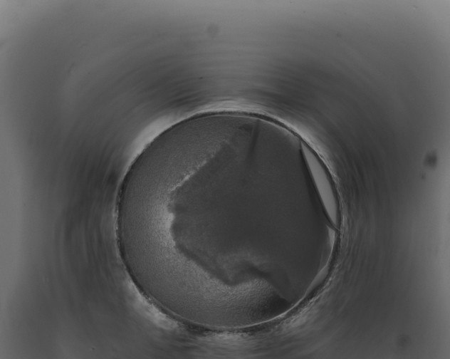 X0000089960998200707061136