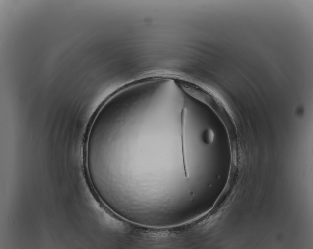 X0000089960999200707061136
