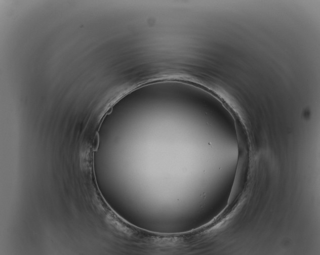 X0000089961001200707061136