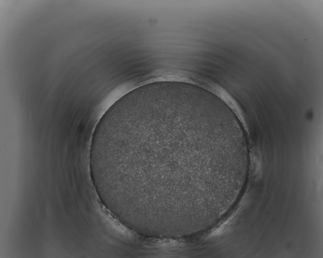 X0000089961002200707061136