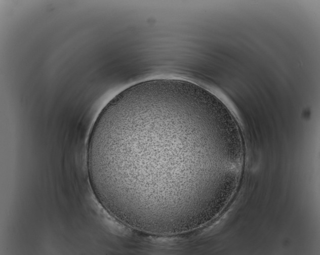 X0000089961004200707061136