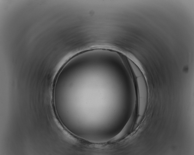 X0000089961005200707061136