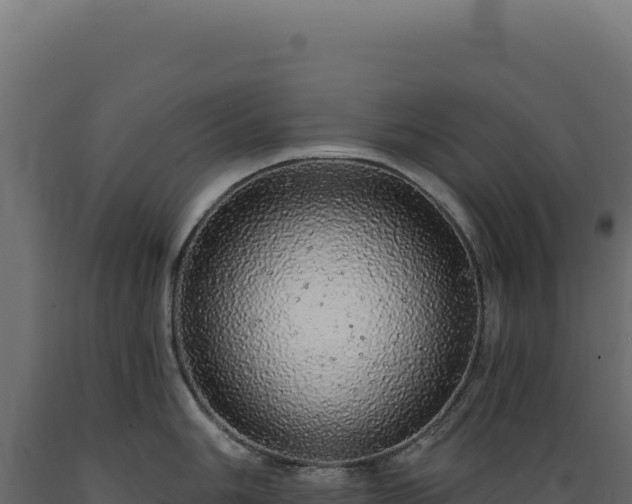 X0000089961006200707061136