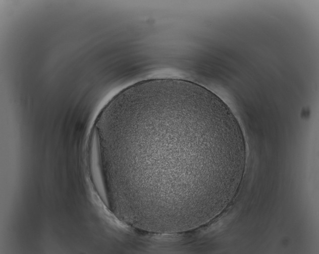 X0000089961008200707061136