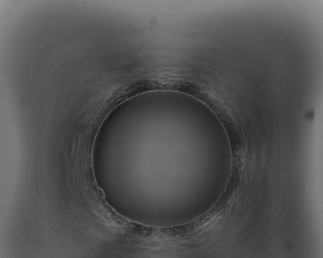 X0000089961009200707061135