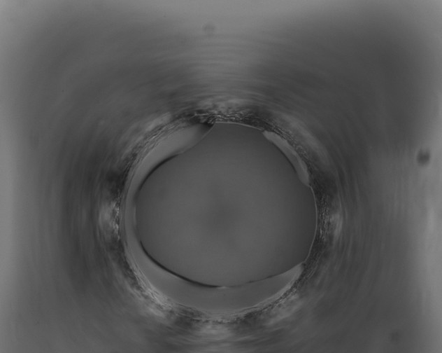X0000089961010200707061135